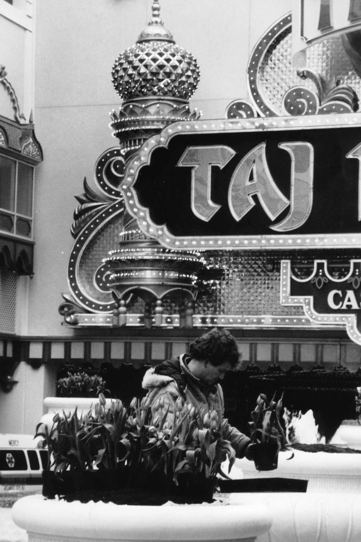 Taj Mahal Opening 19.jpg